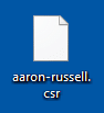 CSR file