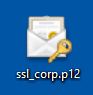 PFX file